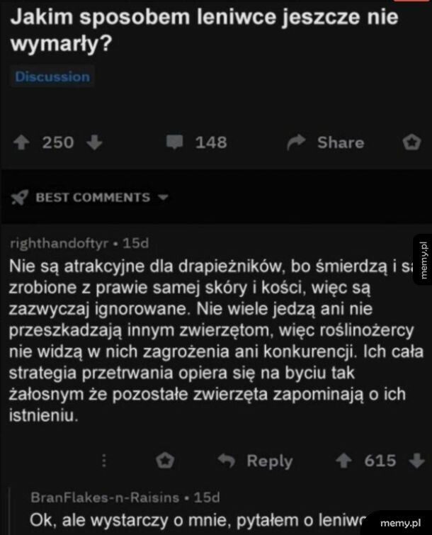 Leniwce