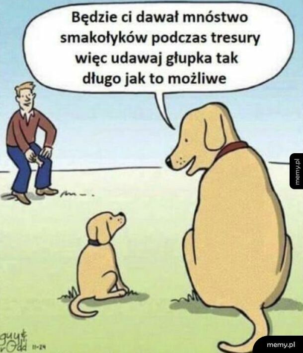 A więc to tak
