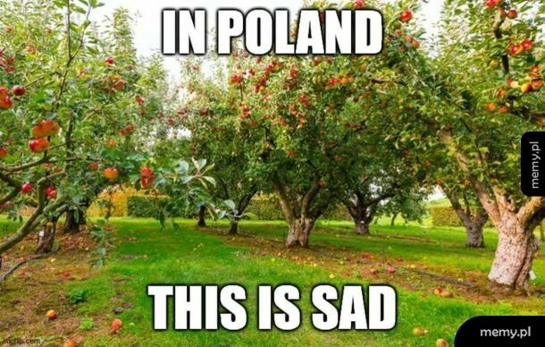 Zagraniczniaki nie zrozumieją