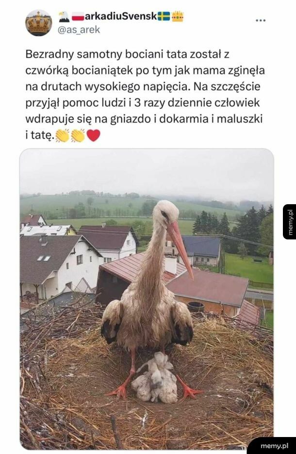 Smutna historia
