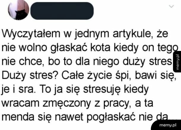 Zestresowany panicz