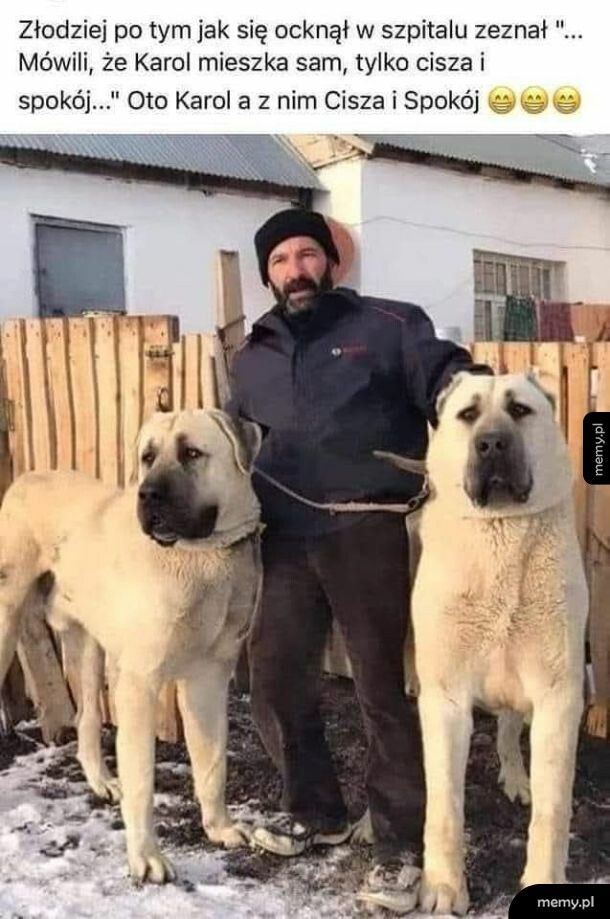 W domu tylko Cisza i spokój
