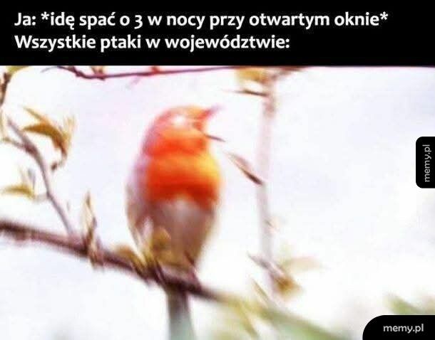 Zaczynamy