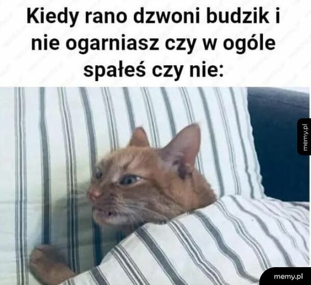 Cosiedzieje