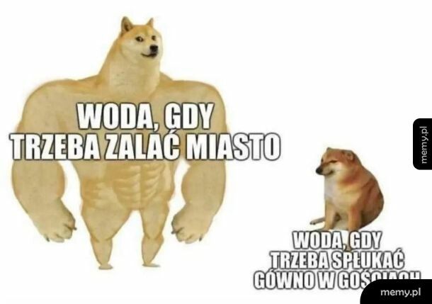 Woda