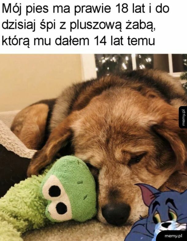 Wzrusz