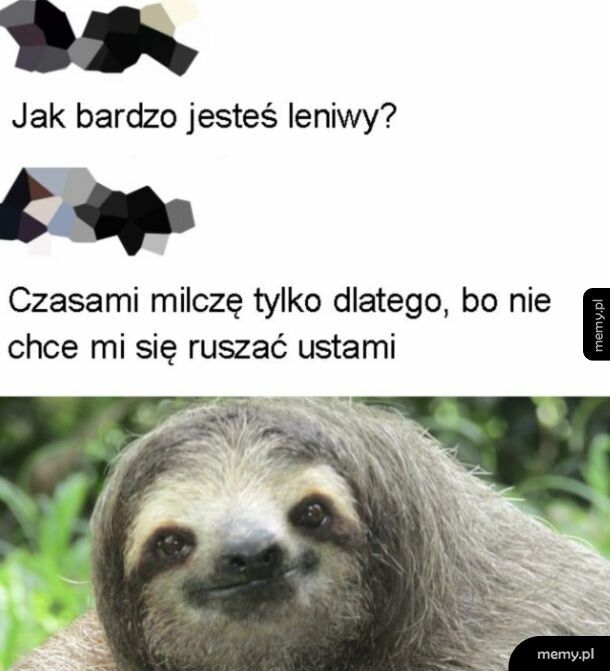 Bardzo