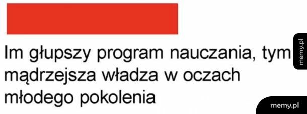 Coś w tym jest