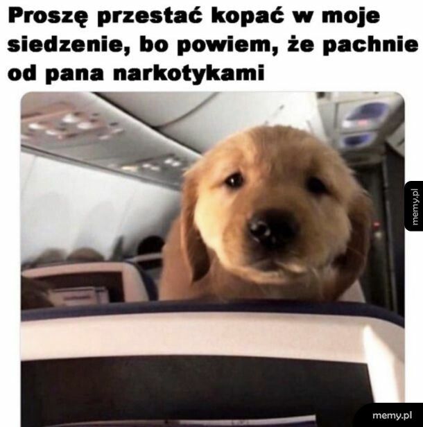 Nie zadzieraj