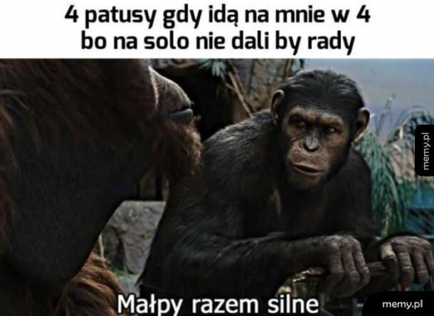 Typowe