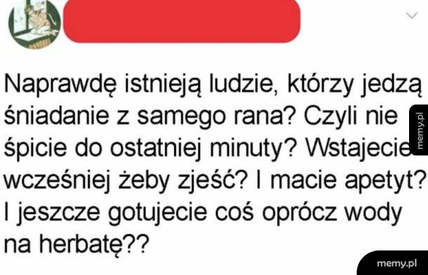 Szokujące