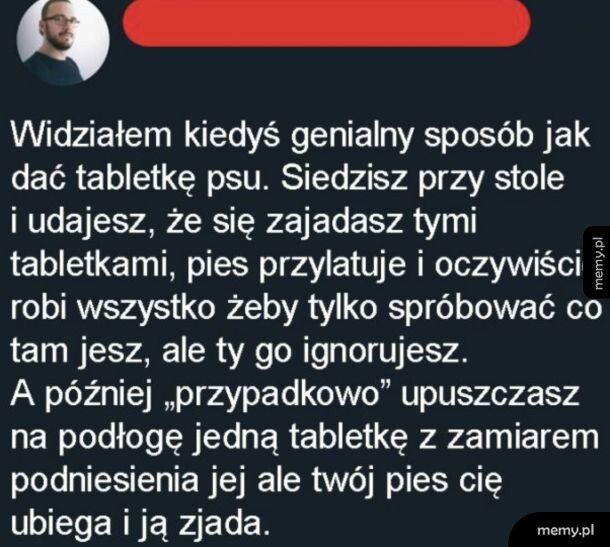 Niegłupie