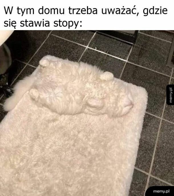 Kamuflaż