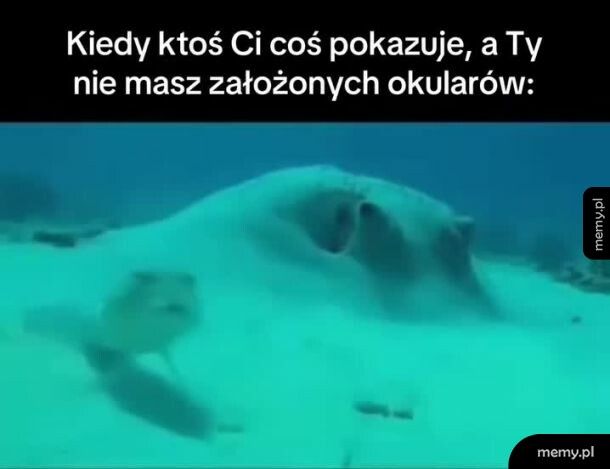 Krótkowidz w akcji