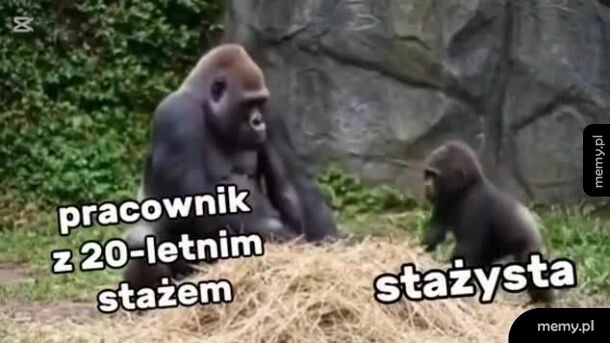 Mój Boże!