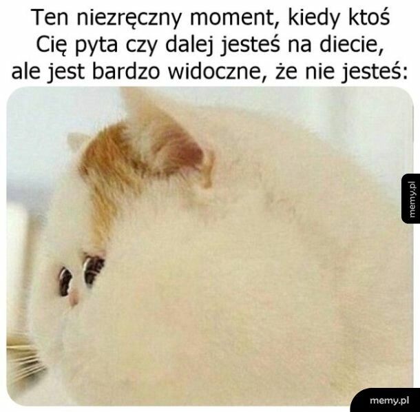 Dieta