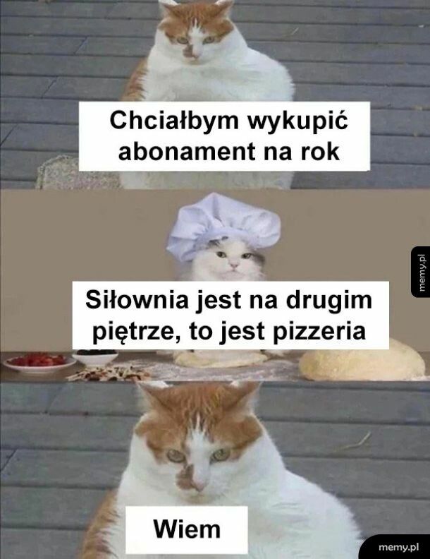 Karnecik