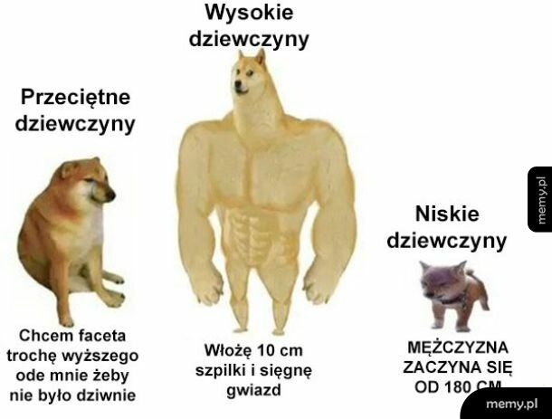 Czy naprawdę tak jest?