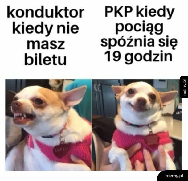 PKP