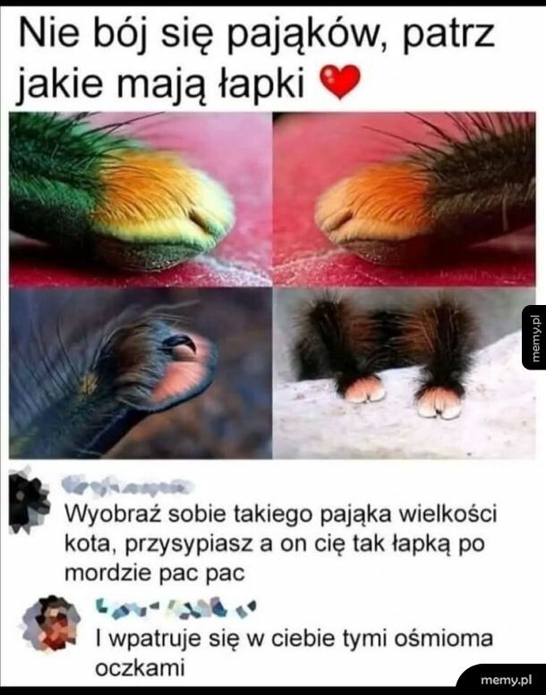 Nie bój sie...