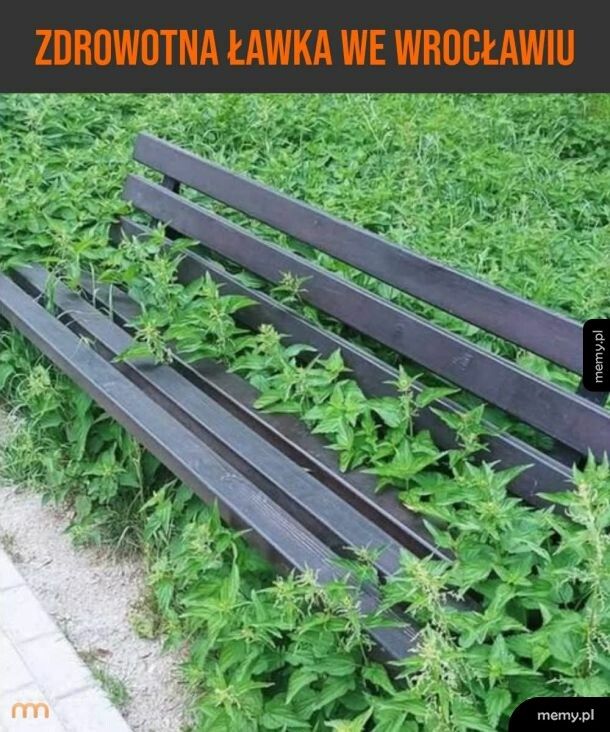Przynajmniej żaden menel na niej nie spał