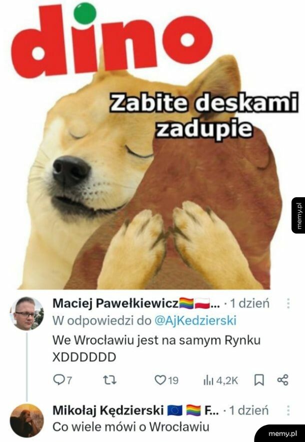 Dino we Wrocławiu
