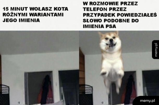 Pikuś