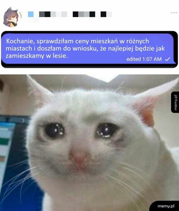 Pozostało zbudować szałas w lesie