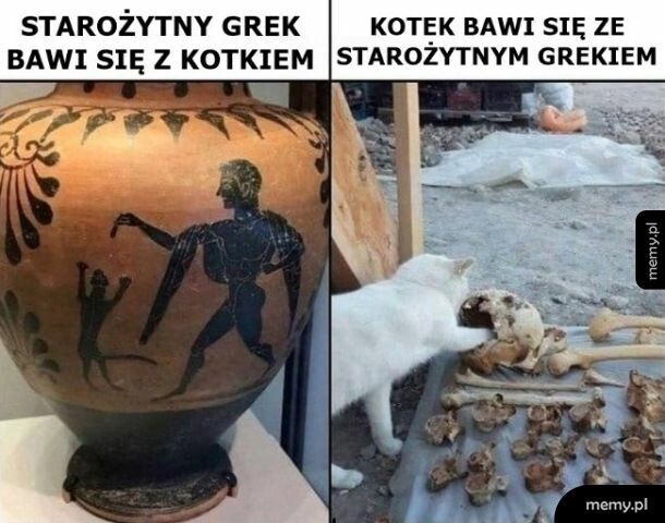 Kot i Grek