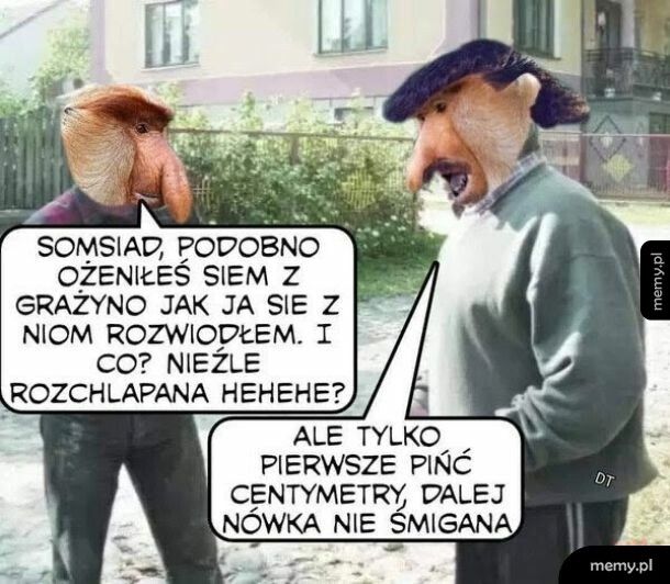 W zasadzie dziewica
