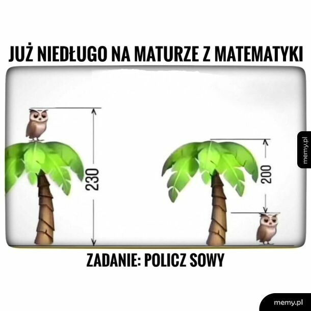 Matura po szkolnictwie Czarnka i Nowackiej