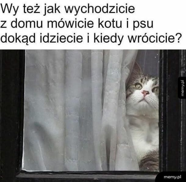 Nie