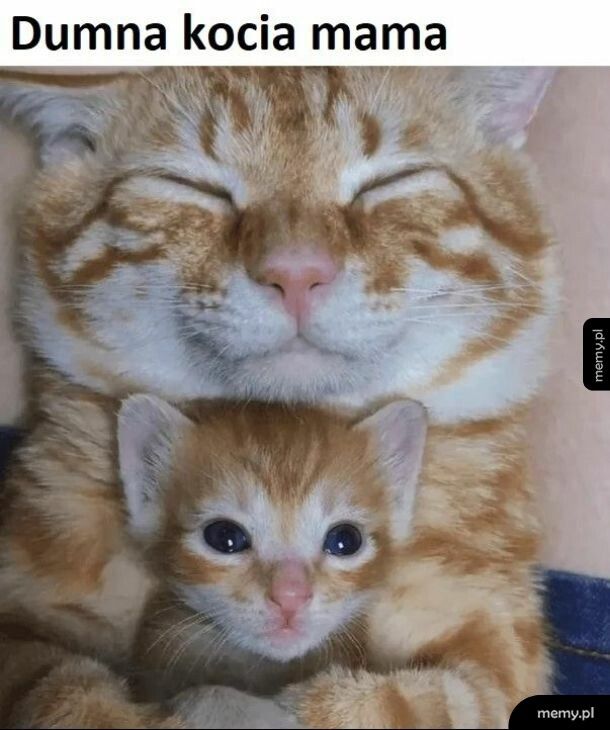 Mama