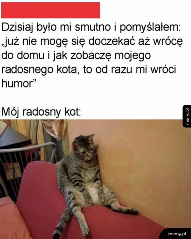 Bardzo radosny
