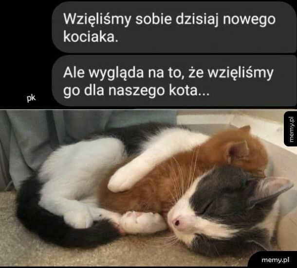Adopcja