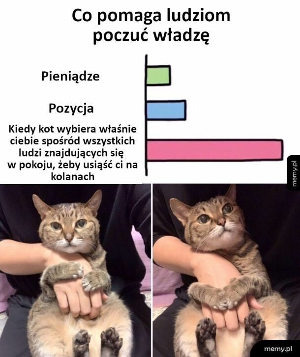 Władza