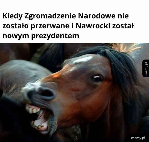 Szał kunia