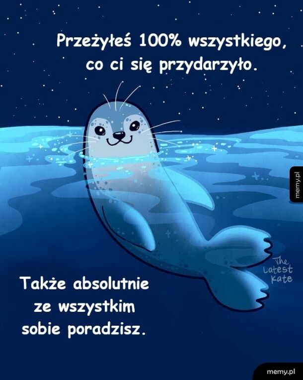 Dasz radę