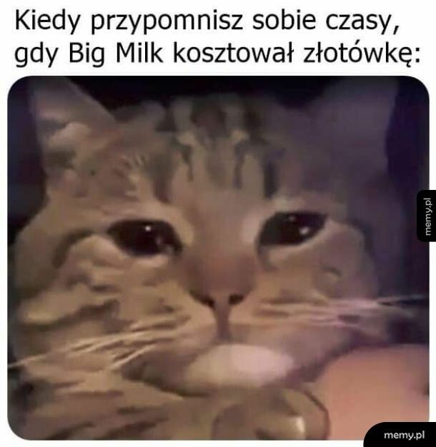 Big Milk