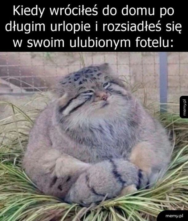 Miejscówka