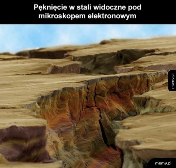 Zbliżenie