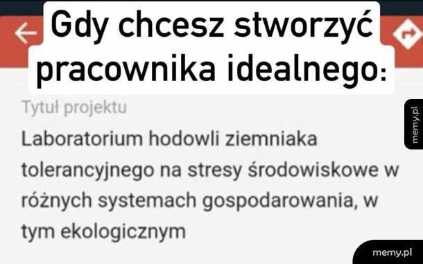 Korpoziemniak
