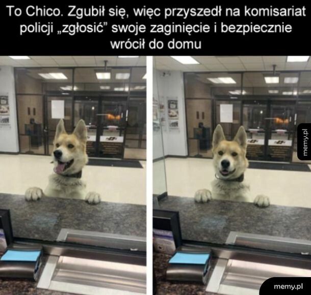 Chico