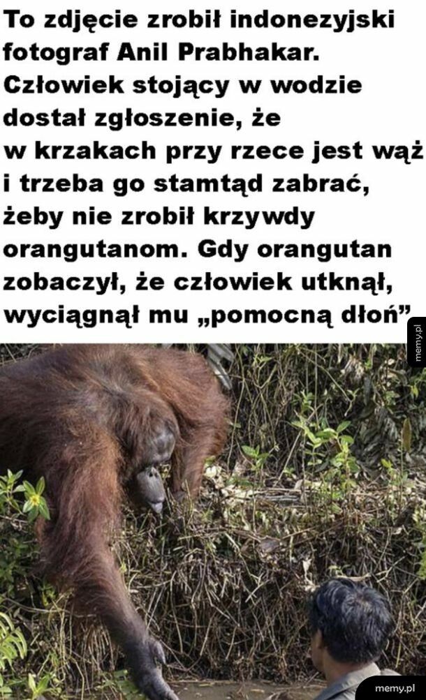 Epickie zdjęcie