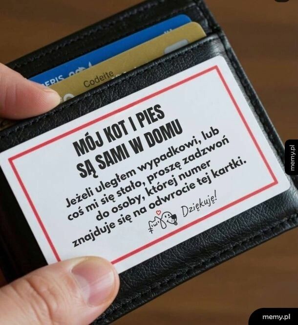To się nazywa odpowiedzialność