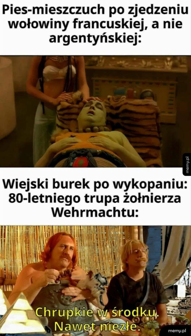 Typowo