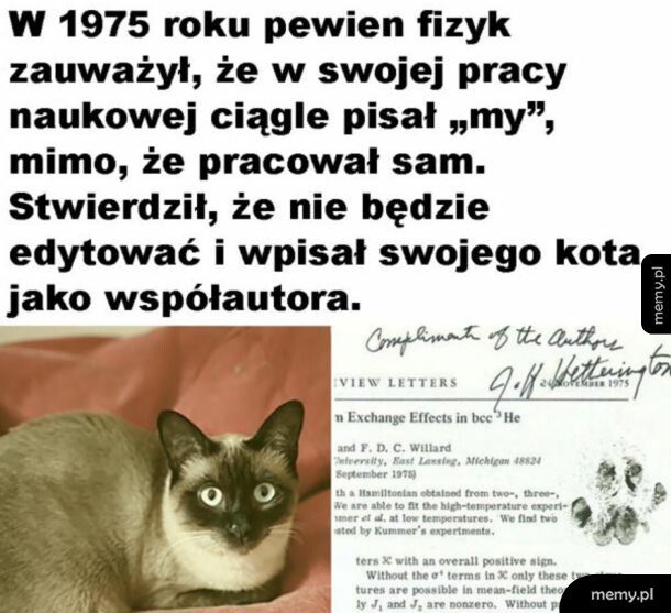 Kot się nawet łapą podpisał