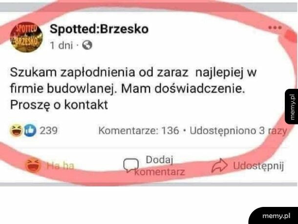 Budowlańcy dobrze zarabiają!