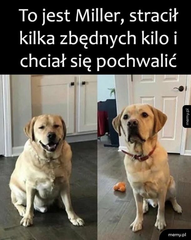 Stracił i posmutniał