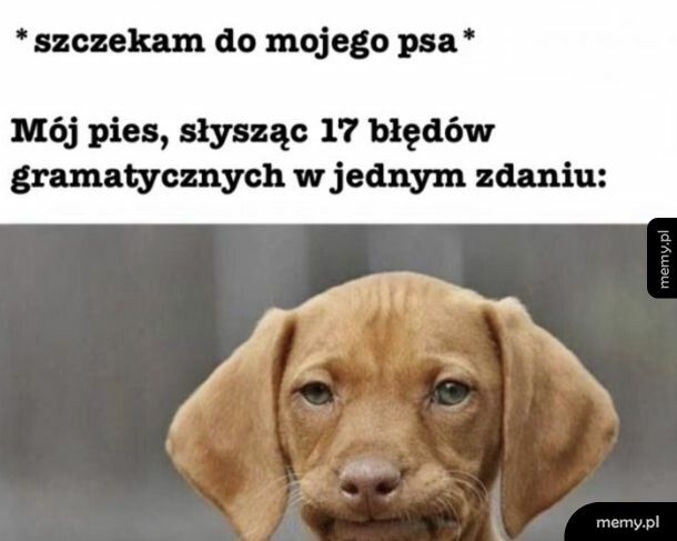 Konsternacja